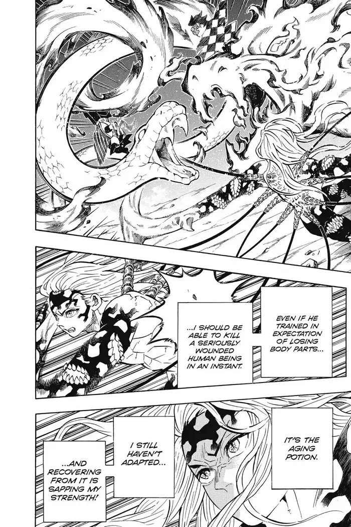 Demon Slayer Chapter 194 image 16_optimized